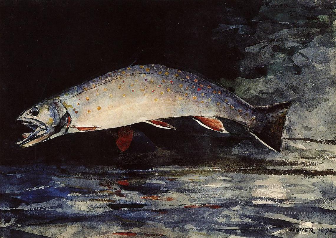 A Bachforelle Realismus Marinemaler Winslow Homer Ölgemälde